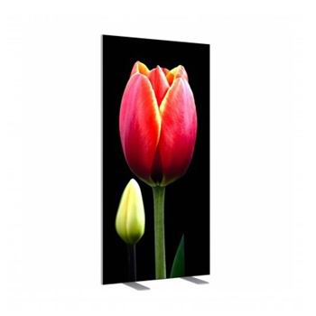 37mm maxi frame, 1 fata